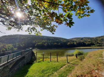 Randonnée Marche Ranspach - très, lac de la lauch - Photo