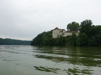 Excursión A pie Düdingen - Felliwil - Schlattli - Photo