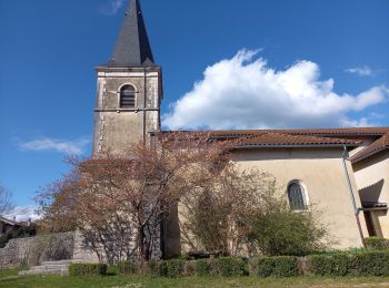 Tocht Stappen Grand-Corent - les crêtes du jardonnet de grand corrent  - Photo