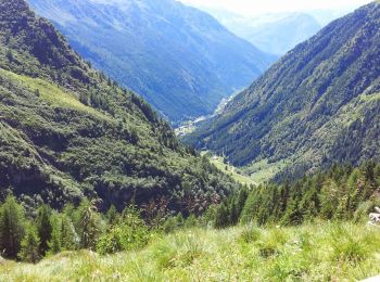 Tocht Te voet Paspardo - (SI D26S) Rifugio Colombè - Rifugio Città di Lissone in Val Adamè - Photo