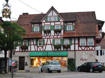 Tocht Te voet Bad Teinach-Zavelstein - Krokusweg - Photo