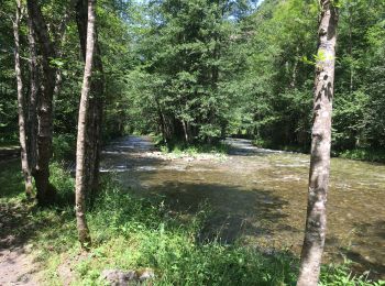 Trail Walking Orgeix - L’ Oriege - Photo