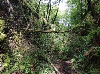 Trail Walking Sainte-Engrâce - Pierre st martin - Photo