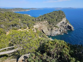 Trail Walking Hyères - Hyères - La presqu'île de Giens - Circuit côtier ouest  - Photo