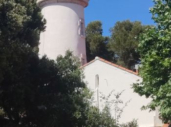 Tour Wandern Le Lavandou - Rando Borme Sentier du Littoral AR - Photo