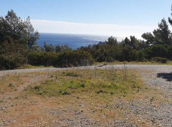 Trail Walking La Seyne-sur-Mer - Le Cap Sicié, sentier du littoral - Photo