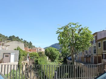 Tocht Te voet Banyalbufar - Camí des Pescadors - Photo