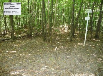 Percorso A piedi Schiffweiler - Permanenter Wanderweg Itzenplitz - Photo