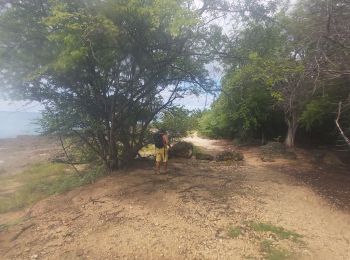 Tocht Trail Port-Louis - cimetière - anse b reconnaissance du 16/10/21 - Photo