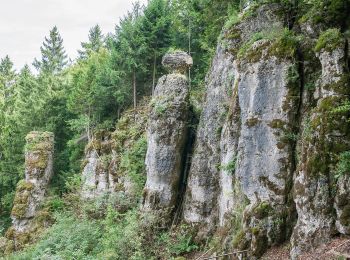 Percorso A piedi Velburg - Lengenfeld - Tropfsteinhöhle - Photo