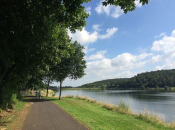 Tocht Te voet Bad Arolsen - Bad Arolsen Wanderweg W4 - Photo