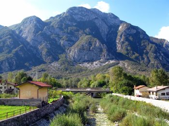 Tocht Te voet Gemona del Friuli - Trail 3 Castelli Ultra - Photo