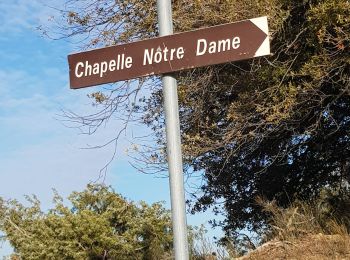 Randonnée Marche Baudinard-sur-Verdon - Les Gorges de Baudinard sur Verdon et la Chapelle notre Dame - Photo