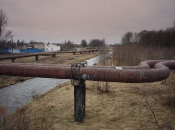 Excursión A pie  - Szlak Olsztyński - Photo