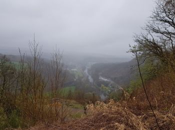 Tocht Stappen Comblain-au-Pont - 2021-04-04_15h31m49_Cirkwi-Autour_de_Comblain-au-Pont_-_Promenade_9___Grotte_-_Raideux_-_Anthisnes_-_Les_Stepennes_-_Géromont - Photo