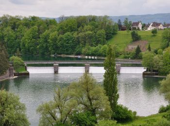 Percorso A piedi Rheinau - Brücke Rheinau - Strick - Photo