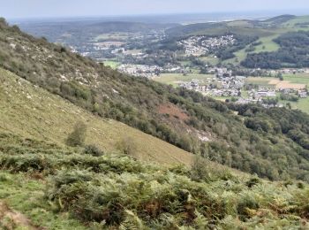 Randonnée Marche Lourdes - 65-lourdes-pic-jer-via-AYNE-14km-450m - Photo