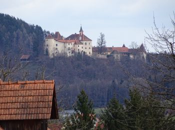 Tocht Te voet Gratwein-Straßengel - Wanderweg 12 - Photo