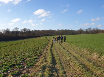 Tocht Stappen Florennes - Balade à Morialmé - Photo