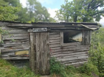 Tocht Stappen Seyssinet-Pariset - Château Borel - Cabane à Laura - Ferme Durand - Mollard Gargot - Pariset et retour par rue de la Scie - Photo