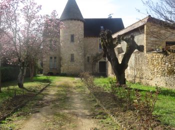 Randonnée Marche Domme - Domme - Photo