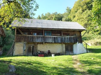 Excursión A pie  - Kravljak - Stojdraga - Photo