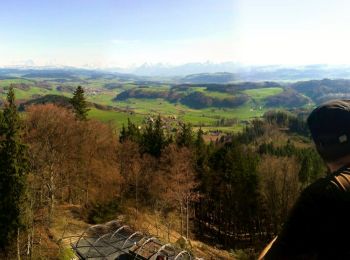 Randonnée A pied Bolligen - Deisswil-Cholgrueb - Photo