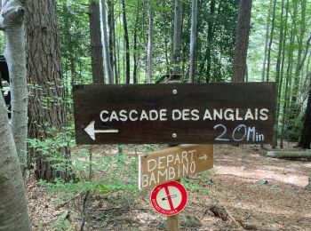 Tocht Stappen Venaco - Petra Piana Vizzavona - Photo