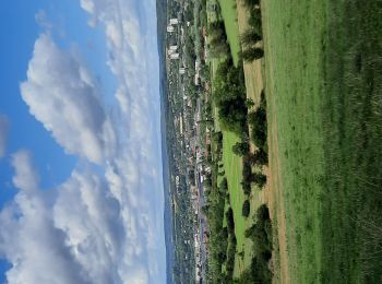 Randonnée Marche Wadelincourt - Wadelincourt - Photo