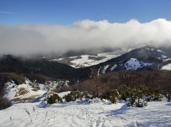 Tocht Sneeuwschoenen Léoncel - Pierre chauve - Photo