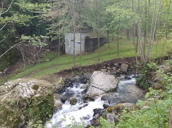 Tocht Te voet San Pietro Mussolino - Anello Ecoturistico Piccole Dolomiti 008 - Photo