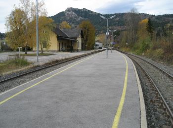 Tocht Te voet Gemeinde Grünbach am Schneeberg - 1. Rundwanderweg um den Sonnleitenberg - Photo