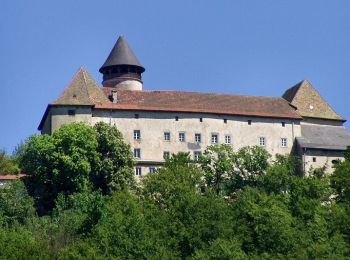 Trail On foot Neustift im Mühlkreis - Burgherrenweg - Photo