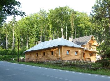 Excursión A pie okres Prešov - Lesný náučný chodník Zabíjaná - Photo