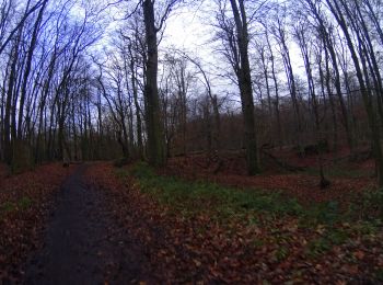 Tocht Mountainbike Waterloo - Waterloo 3 - Photo