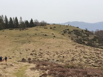 Trail Walking Portet-d'Aspet - Le Puech et cabane de Piejeau en boucle - Photo