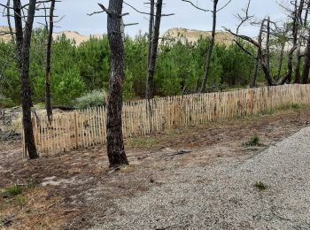 Trail Walking Lacanau - Le long des dunes au sud de Lacanau océan  - Photo