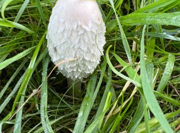 Excursión Senderismo Waterloo - #221111 - Waterloo > Braine, GRP127 - Photo