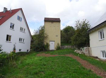 Tocht Te voet Weinstadt - Skulpturenpfad Nuss - Photo