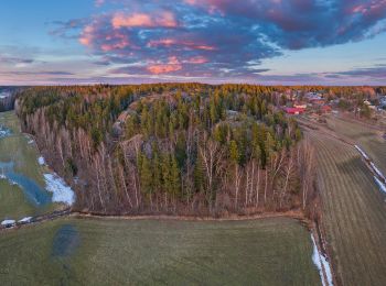 Randonnée A pied Vantaa - Kalkkiruukin luontopolku - Photo