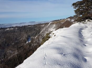 Tocht Sneeuwschoenen Les Bouchoux - Orvaz raquettes2 - Photo