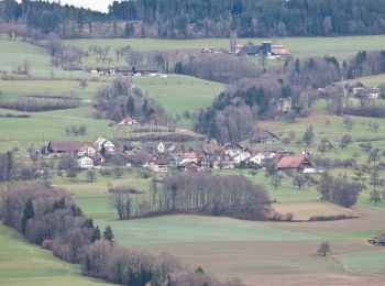 Tocht Te voet Hohenrain - Horben - Lieli - Photo