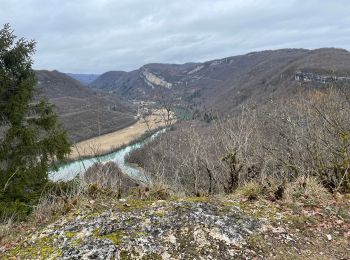 Excursión Senderismo Dortan - Boucle sur les hauteurs de Dortan  - Photo