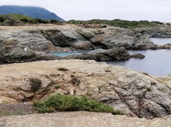 Percorso Sentiero Six-Fours-les-Plages - Île de Gaou - Photo