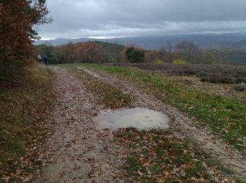 Tour Wandern Crest - 26 crest zel 14.12.23 pluie - Photo