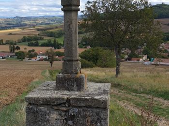 Percorso A piedi Chauriat - [Itinéraire] Les coteaux de Chauriat - Photo