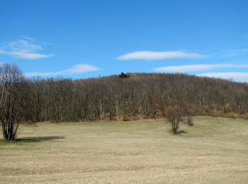 Percorso A piedi Gemeinde Kaltenleutgeben - SISI Rundwanderweg - Photo