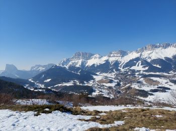 Excursión Raquetas de nieve Gresse-en-Vercors - Gresse en Vercors :pas du Serpaton-Rocher du Baconnet-Uclaire-pas du Bru - Photo