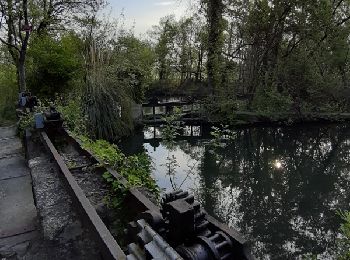 Trail Walking Entraigues-sur-la-Sorgue - BALLADE AUTOUR D ENTRAIGUES SUR LA SORGUE , ECLUSES ET CASCADE - Photo