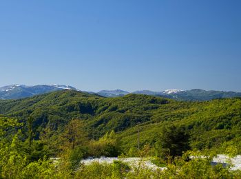 Tour Zu Fuß Santa Margherita di Staffora - IT-6 - Photo